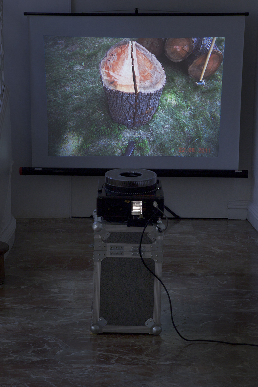 Buscando "sentido". Vista de la instalación en Galería JM