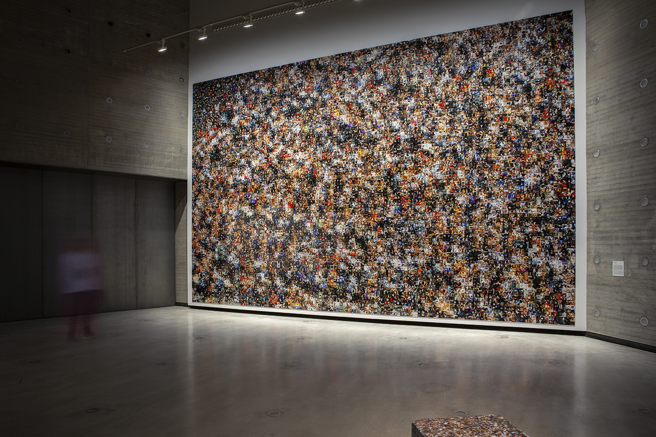 Gatos del mundo / Cats of the world, 2021