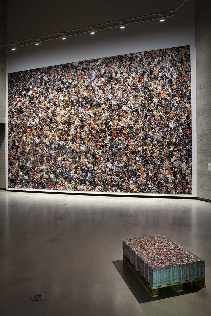 Gatos del mundo / Cats of the world, 2021