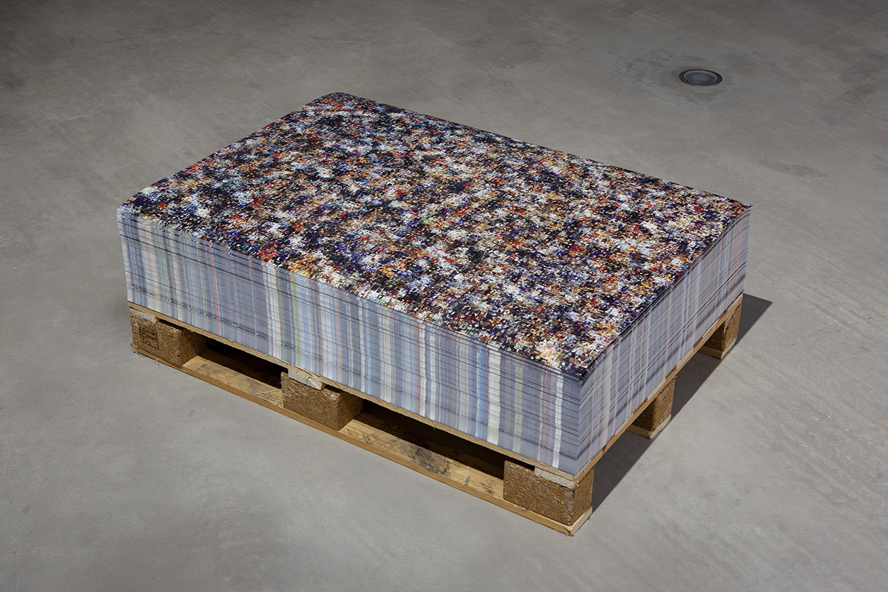 Gatos del mundo / Cats of the world, 2021