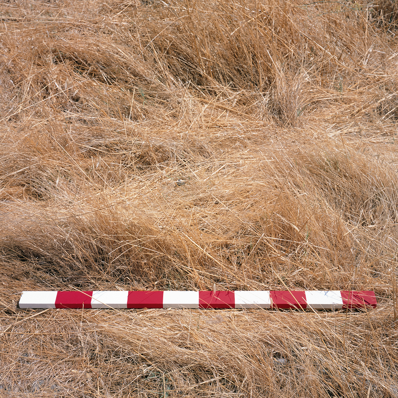 Desterritorios, 2003