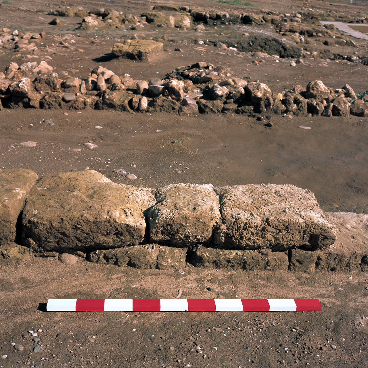 Desterritorios, 2003