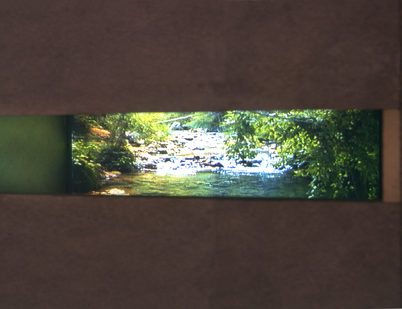 Espacio para la observación de la naturaleza, 1996