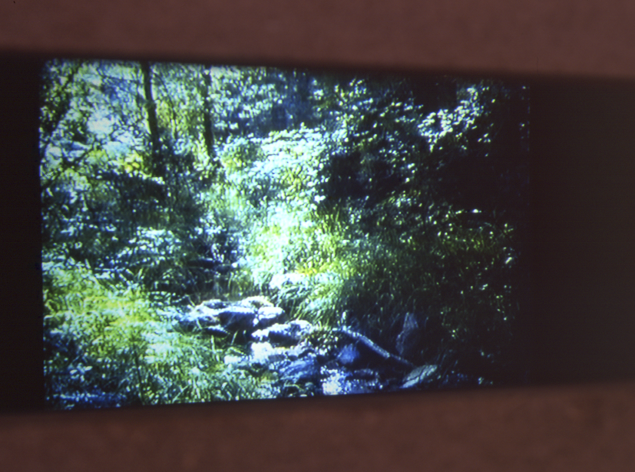 Nosce te ipsum, 1996