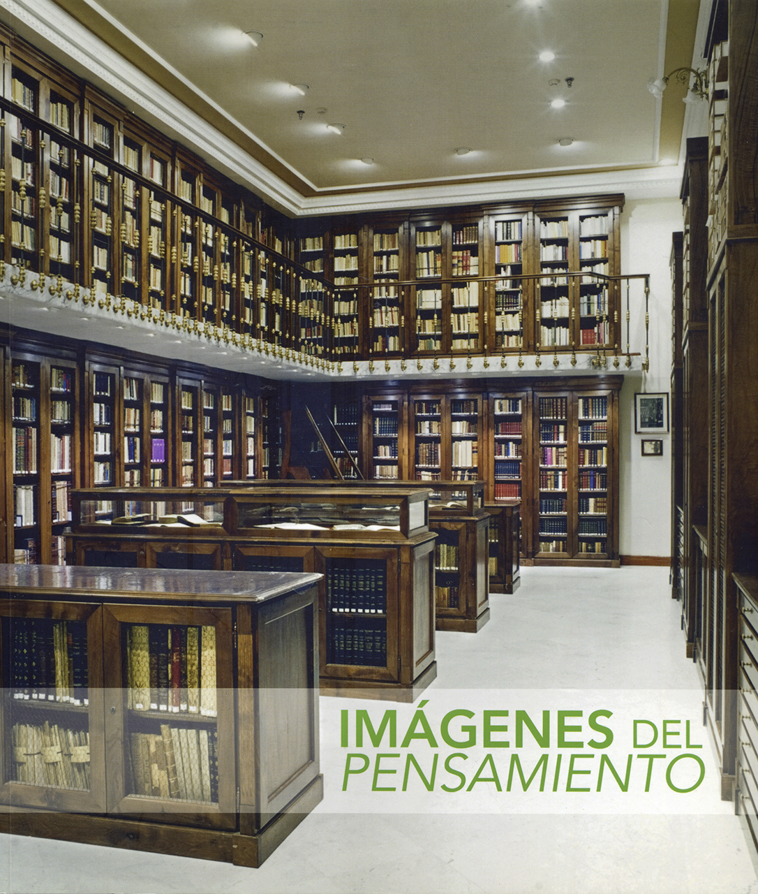 Imágenes del pensamiento