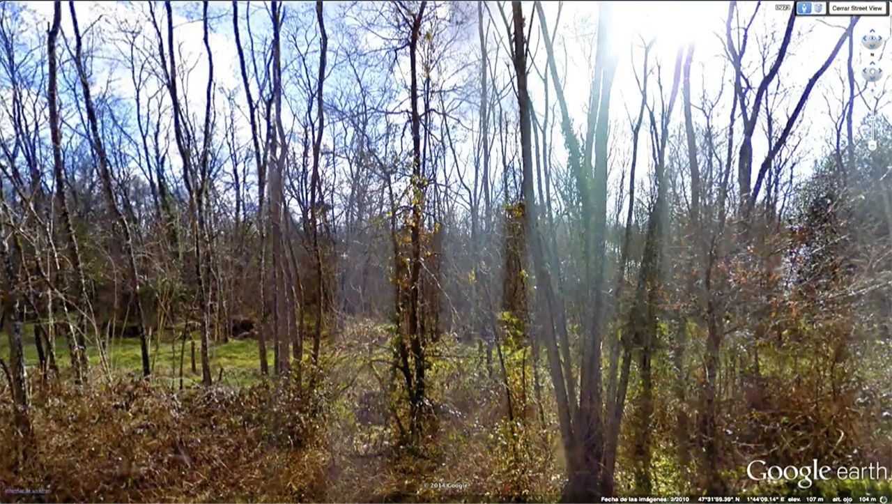 EXCURSIÓN A BLOIS 2014