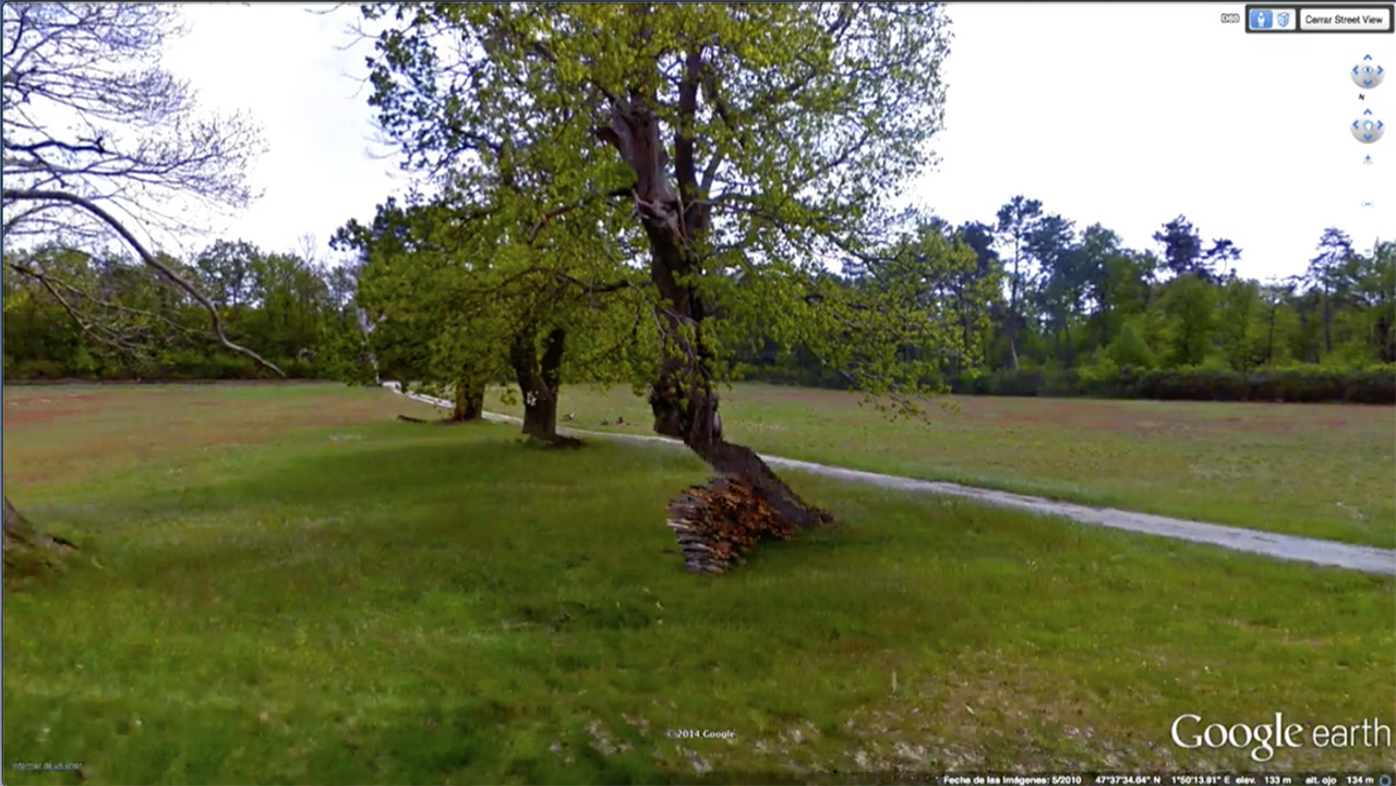 EXCURSIÓN A BLOIS 2014